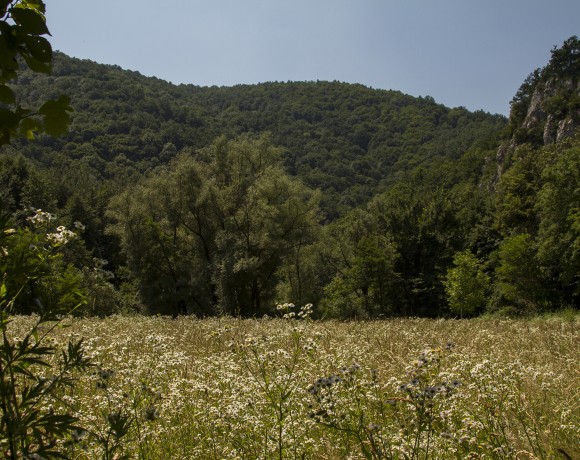 Sasca Montană – Potoc – Socolari – the Ochiul Bei Lake – the Beuşniţa Waterfalls – Sasca Montană