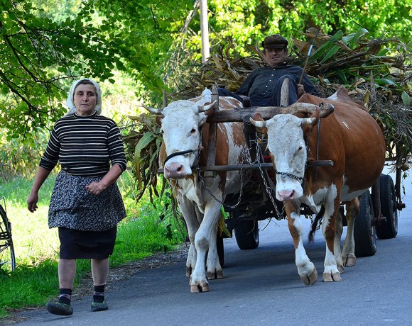 Sasca Română -Sasca Montană – Cascada Șușara – Cărbunari (Ştinăpari)